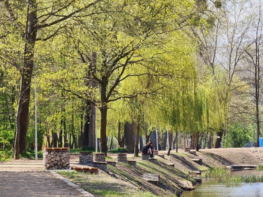 Martówka i Park Miejski w Toruniu