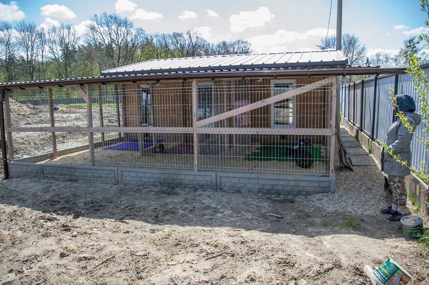 Schronisko dla zwierząt w Skierniewicach modernizuje się