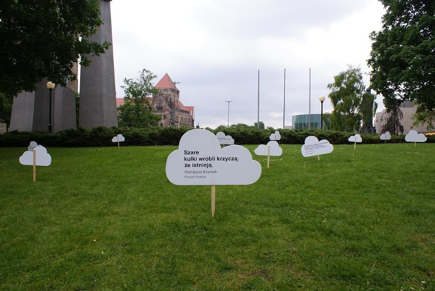 W Parku Mickiewicza pojawiły się chmurki z fragmentami...
