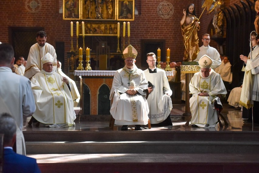 Święcenia w toruńskiej katedrze 2022. Jest sześciu nowych kapłanów [Zdjęcia]