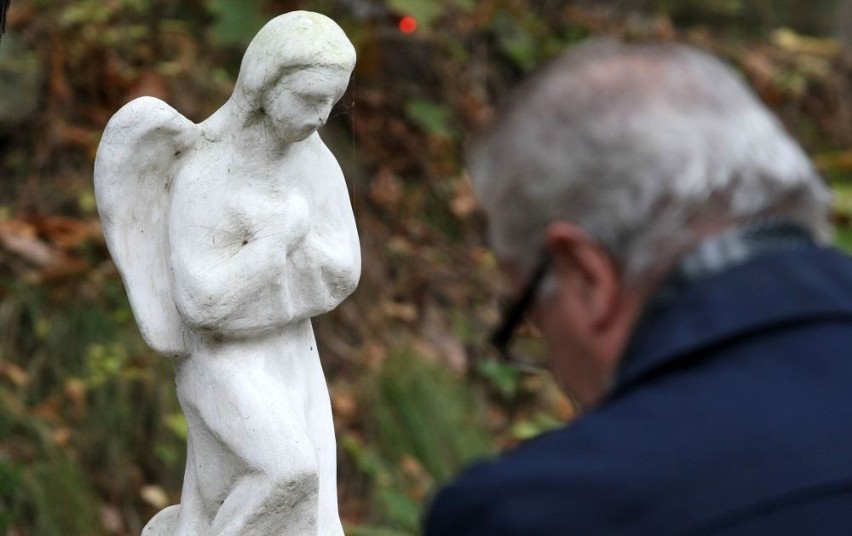 Gdynia: Pieniądze na hospicjum. Artyści, samorządowcy i sportowcy kwestowali na cmentarzach ZDJĘCIA