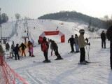 Powiat janowski: Kiedy ruszy sezon narciarski na stokach w Batorzu i Chrzanowie?