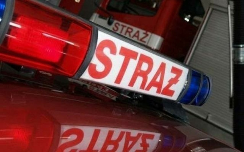 Pożar w Kielcach. Ogień na parkingu przed wieżowcem uszkodził dwa samochody. Zobacz zdjęcia