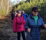 Niebieski szlak "Na wspak" w Zielonym Lesie. Już w niedzielę pierwszy, oficjalny spacer z żarskim oddziałem PTTK