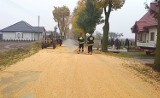 Kukurydza leży na drodze do Bronowa