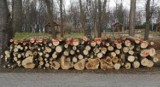 Sprzedaż drewna opałowego rusza od poniedziałku w Kazimierzy Wielkiej. Jaka cena za metr przestrzenny? Sprawdźcie