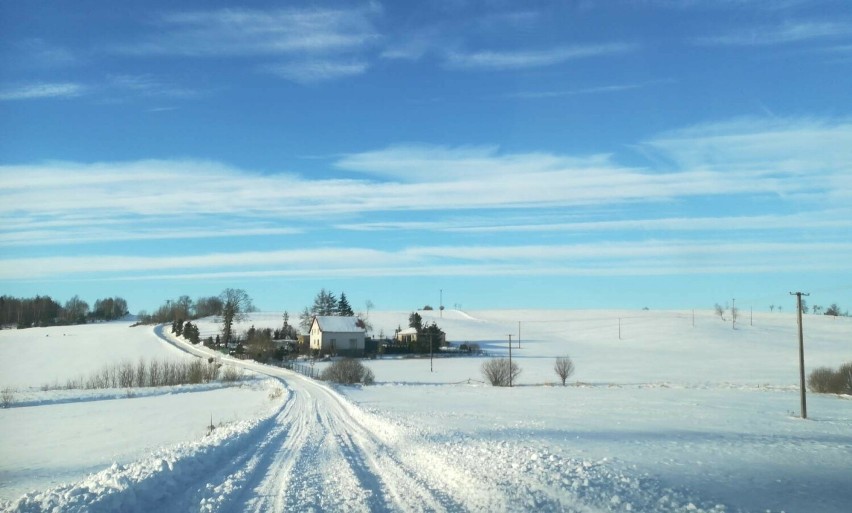 Kaszuby zasypane śniegiem, okolice Kościerzyny