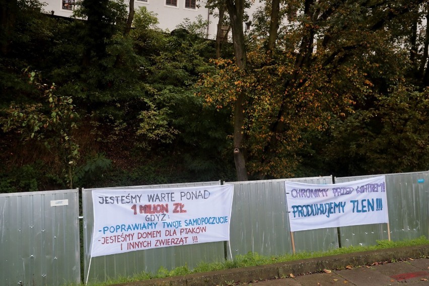 Protest ekologów pod skarpą Zamku Książąt Pomorskich w...