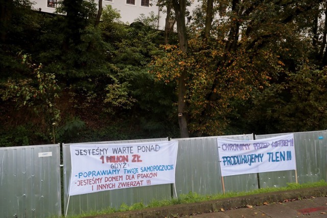 Protest ekologów pod skarpą Zamku Książąt Pomorskich w Szczecinie - 18.10.2020.