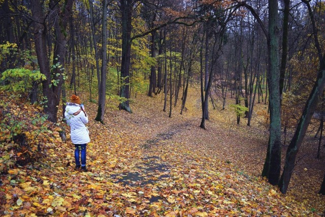 Gdzie do lasu w pobliżu Lublina? Zobacz ranking TOP 10 miejsc na jesienny spacer za miastem