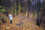 Na weekend TOP 10 miejsc na jesienny wypad za miasto. Klimatyczne leśne ścieżki tylko godzinę drogi od Lublina