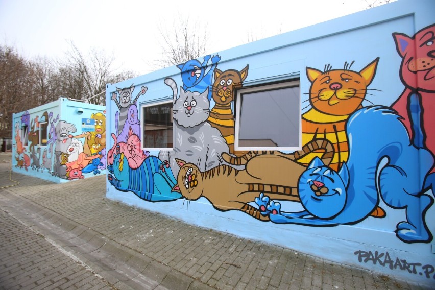 Kolorowe graffiti pokryły kontenery w Schronisku dla Bezdomnych Zwierząt w Chorzowie. Przedstawiają postaci psów i kotów  