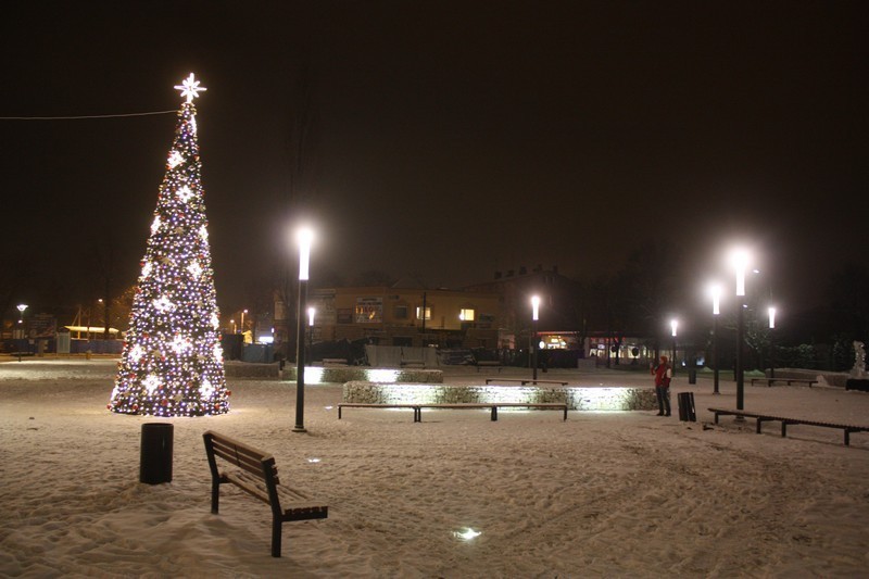 Zawiercie: Świąteczna choinka na placu Jana Pawła II