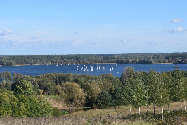 Regaty o Puchar Samorządów Powiatu Międzychodzkiego zaliczane do Pucharu Polski Klasy Omega na wodach Jeziora Chrzypskiego (12.10.2019).