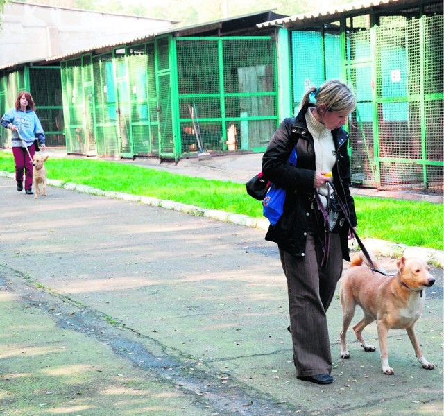 Anna Pękala,  jako wolontariuszka pomaga od dawna w schronisku