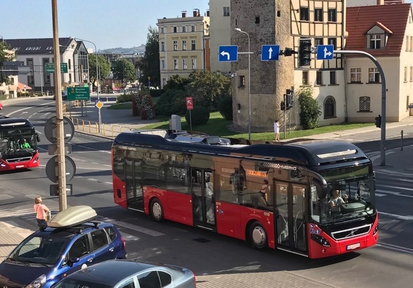 Wszystkie zamówione pojazdy będą niskopodłogowe. Autobusy...