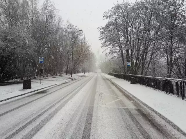 Mokry śnieg leżał na łódzkich ulicach i chodnikach. Topniejąca warstwa śniegu sprawiła, że chodniki i jezdnie stały się śliskie. Na dodatek na nieodśnieżonych chodnikach tworzyła się śniegowa breja, od której przemakały przechodniom buty. Czy w najbliższych dniach to się zmieni?

CZYTAJ DALEJ >>>



..