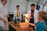Festiwal Dobrej Energii w Bielsku-Białej