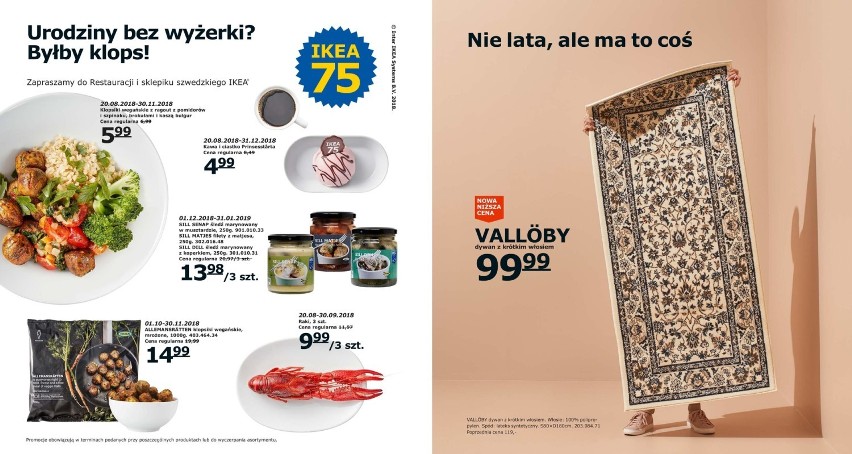 Które meble zobaczysz w niemal każdym polskim domu? Czy IKEA jest jeszcze modna? KATALOG 2019