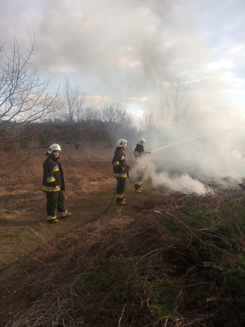 Sezon na pożary traw w powiecie poddębickim niestety rozpoczęty. Ogień gasili druhowie z OSP Pęczniew FOTO
