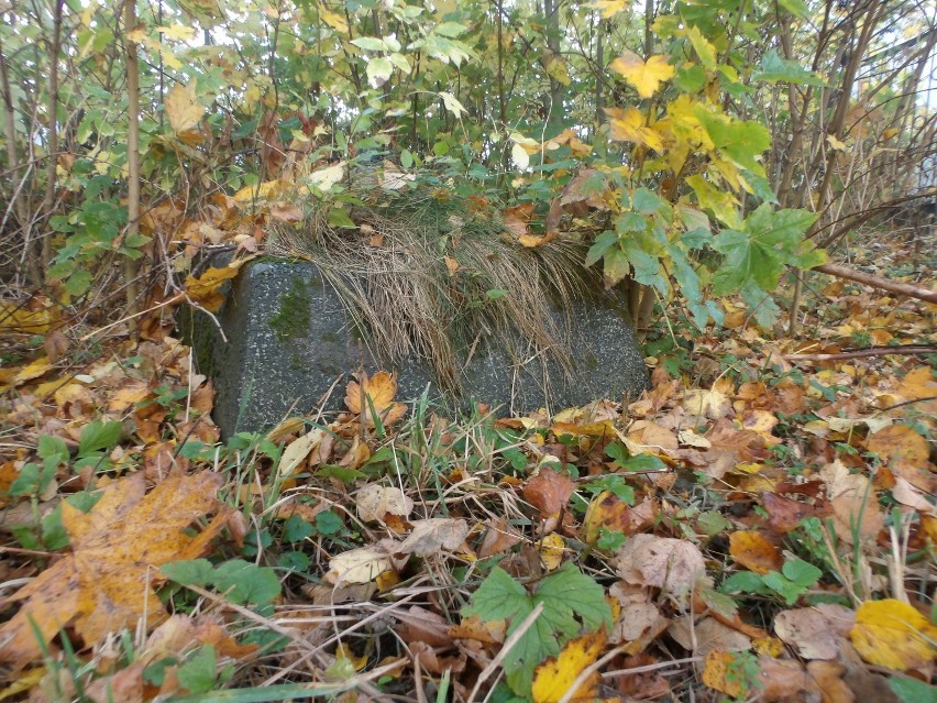 Gm. Miłoradz. Ewangelicki cmentarz w Gnojewie został uporządkowany. Prace zainicjował malborczyk Bogusław Krauze