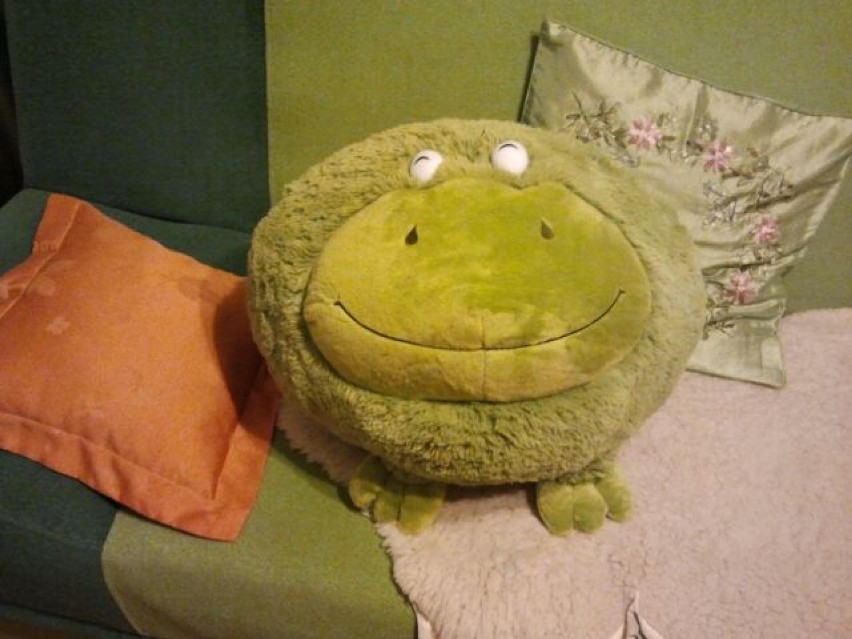 Żaba - poduszka do siedzenia - pani Ania z Wodzisławia
