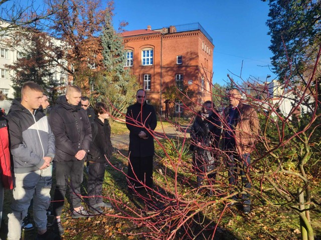 Drzewko jabłoni poświęcone błogosławionej rodzinie Ulmów zostało posadzone podczas kameralnej uroczystości w MOW.