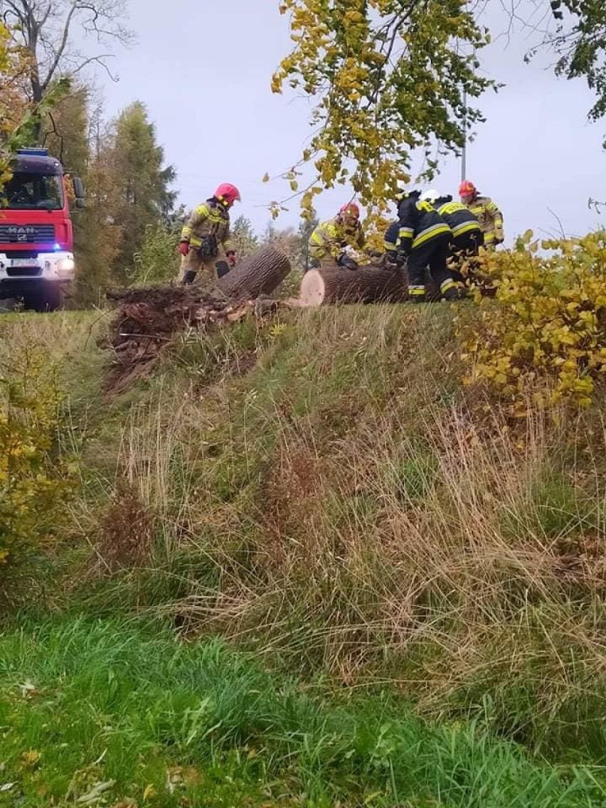 Skutki wichury 21-22 października 2021 w powiecie puckim