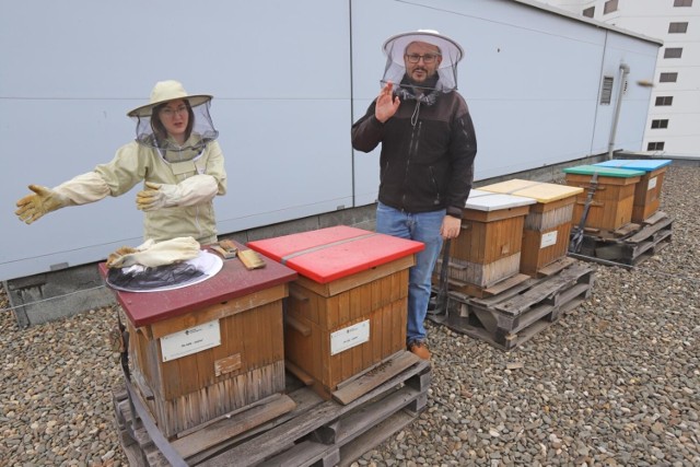 Na zdjęciu doktoranci Uniwersytetu Śląskiego zajmujący się badaniem pszczół - mgr Patrycja Pawłowska i mgr Łukasz Nicewicz