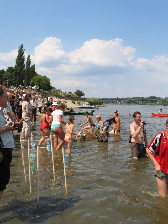 W Big Jump udział może wziąć każdy. Wystarczy przyjść nad Wisłę.