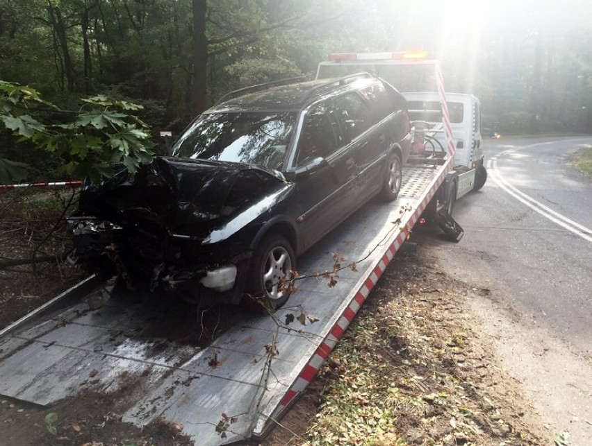 Kierowca opla vectry wypadł z drogi koło Buchałowa