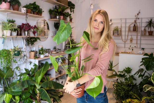 Plantarium. Sklep botaniczny, w którym kupisz rośliny inne niż wszystkie [ZDJĘCIA, WIDEO]