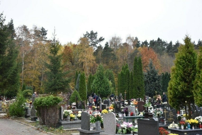 Cmentarz Komunalny w Malborku to "teren zielony o założeniu...