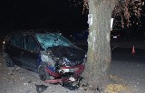 Buczkowice: Pijany kierowca zabił mężczyznę, który wybrał się z psem na spacer