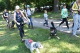 V edycja Biegu Przytul Pyska nadchodzi. Ruszyły zapisy na wydarzenie (SZCZEGÓŁY)