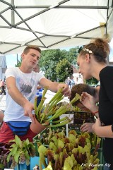 Dni Kraśnika 2016 w obiektywie Dagmary Róg (ZDJĘCIA)