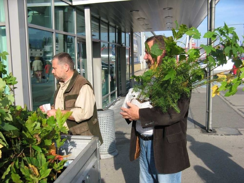 Bielsko-Biała: Fundacja Ekologiczna Arka prowadziła akcję Drzewko za surowce [ZDJĘCIA]