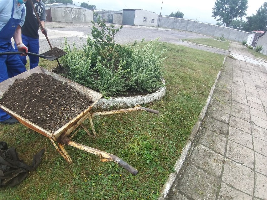 Dziesięciu więźniów z Zakładu Karnego w Stargardzie zdobywa zawód ogrodnika