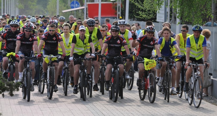 Dębowy Maj Festiwal, czyli dobra zabawa dla aktywnych i nie...