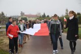Wielki niepodległościowy marsz w Michowicach [ZDJĘCIA]