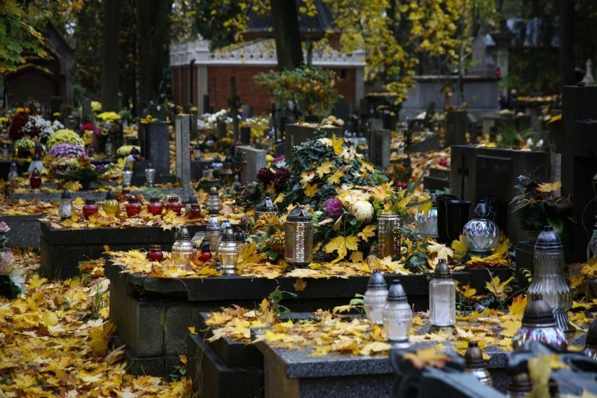 - O ile do tej pory, nawet przy dużych wzrostach zgonów, na...