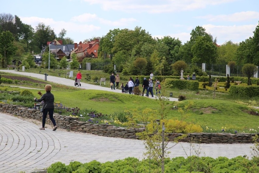 Ogród Botaniczny w Kielcach ponownie otwarty. Moc atrakcji na weekend (WIDEO, zdjęcia)