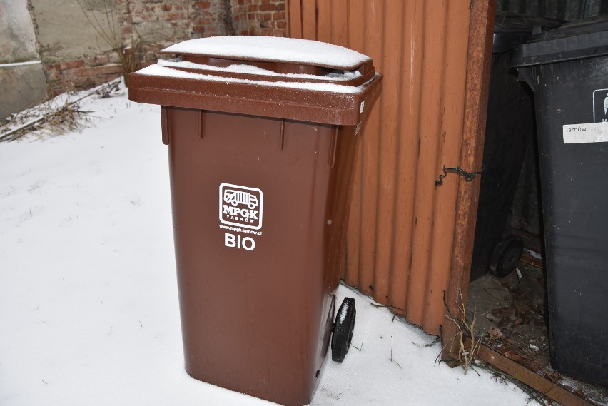 Tarnów. Segregacja bioodpadów na osiedlach to jakaś tragedia! W specjalnych pojemnikach na bioodpady ląduje plastik, szkło i inne śmieci