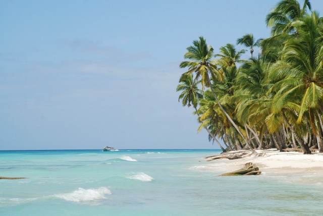 Plaża na Dominikanie. Po prawej stronie biały piasek i palmy, po lewej turkusowa woda, w tle biała łódka.