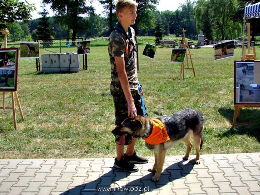 Ogólnopolski Zlot Psów Adoptowanych odbył się w Inowłodzu. Zorganizowano m.in. wystawę psów [zdjęcia]
