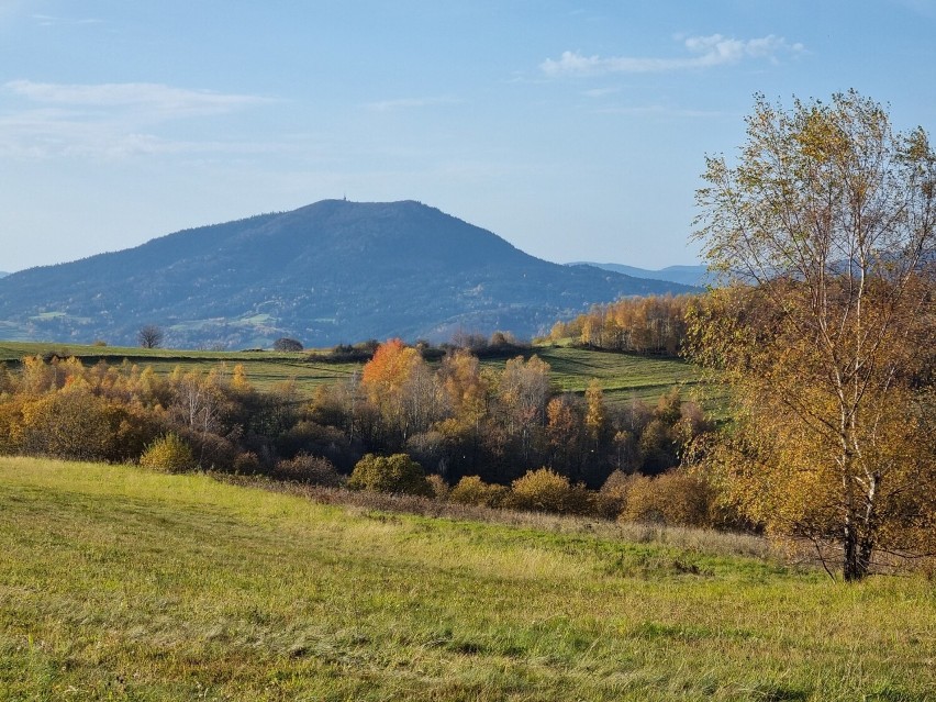 Beskid Wyspowy i Sądecki. Plaga quadów na górskich szlakach i polanach. Policja jest bezradna