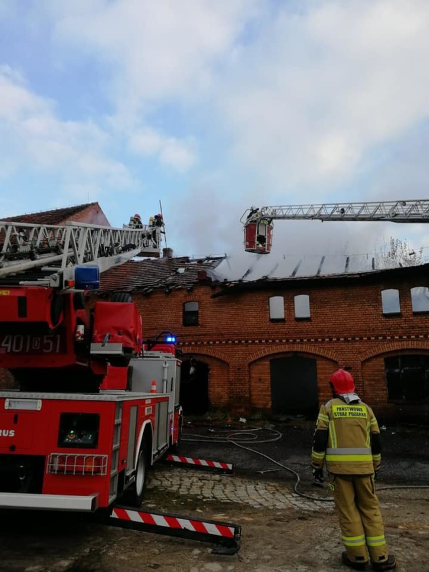 Ogromny pożar budynku klinkierni w Nowogrodźcu         