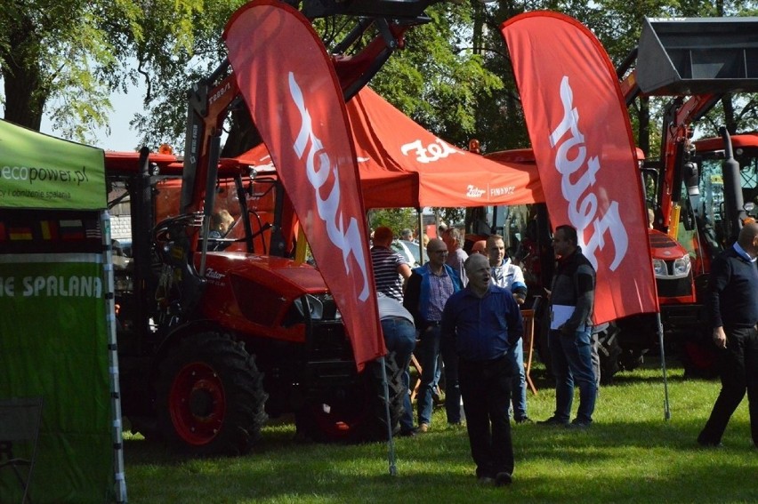 Kościerzyński Dzień Ziemniaka 2019