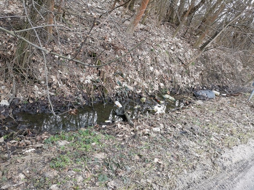 Syców: Śmierdząca rzeka ciągnie się za przejazdem kolejowym na Bielawkach