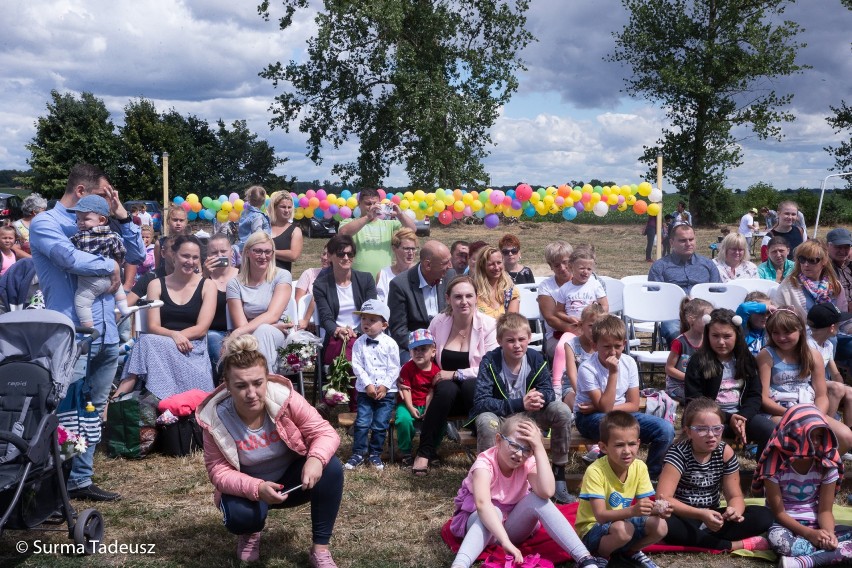 Koszewo. I Piknik Rodzinny z wychowankami ognisk Towarzystwa Przyjaciół Dzieci - 30 czerwca 2018 roku